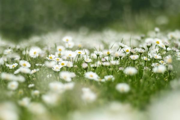 Fibromialgia: come curarla bene